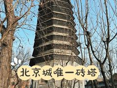 -万松老人塔