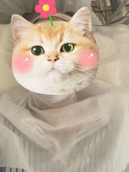 -苗方清颜·祛痘皮肤管理