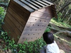 -象山森林公园