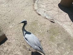 -哈尔滨北方森林动物园