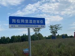 -同里国家湿地公园
