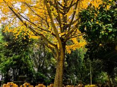 -金堂县云顶石城风景区