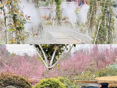-玫瑰庄园·自助烧烤·烤全羊·团建拓展(龙泉山店)