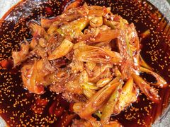 凉拌鸡块-青城甲(青城山店)