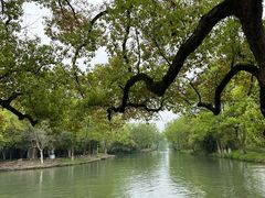 -西溪国家湿地公园