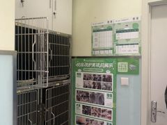 -悦宠凯宝动物医院·牙科·皮肤科(朝阳北路店)