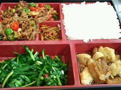 -荷兰花海