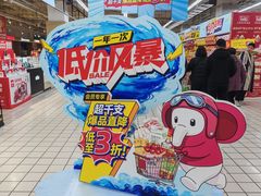 -大润发(康桥店)