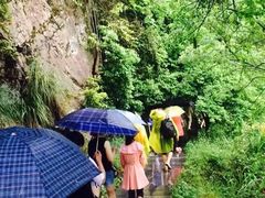 -石台牯牛降景区