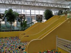 -南宫五洲植物乐园