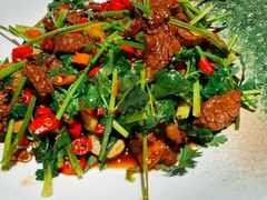 香菜炒牛肉-老馆子·建德菜·山肴鱼鲜(海威新界店)