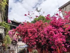 -鹅滋道(甘坑古镇店)