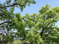-WeLope紫金山探险公园