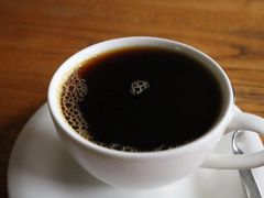 铁毕卡顶级圆豆-YLK云南小粒咖啡·云里咖(二号店)