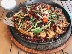 -老板恋上鱼(恒隆广场店)