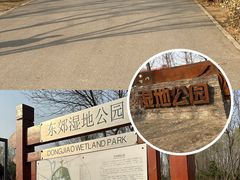 -东郊湿地公园