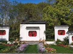 -上海共青森林公园