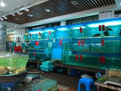 -海大大蒸汽海鲜餐厅·粤菜·特色小炒(欢乐颂店)