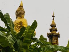 -西双版纳总佛寺