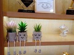 -天津大学爱尔眼科医院(天津总院)