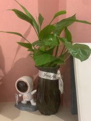 -万福娃儿童摄影(南门店)