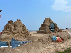 -日照海滨国家森林公园