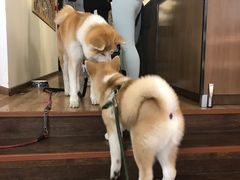 -YCHL Studios健身工作室(市二宫店)