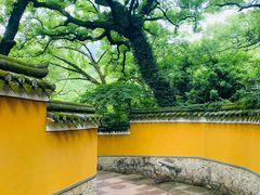 -普陀山风景名胜区-法雨禅寺