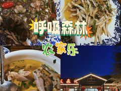 -呼吸森林·生态农庄农家乐私房菜