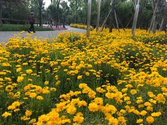 -农夫大盘鸡(经八路总店)