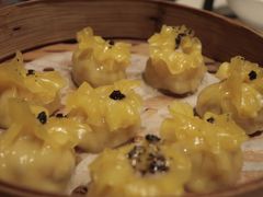 -点都德·毕德寮