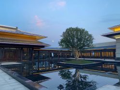 -龙子湖迎宾馆·宴会