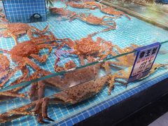 -驻海渔市(置信店)