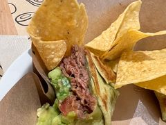 -油梨树 AVOCADO TREE(亮马桥店)