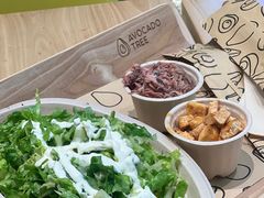 -油梨树AVOCADO TREE(望京店)