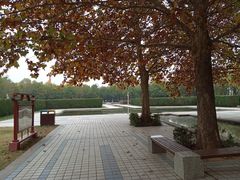 -洛阳市隋唐城遗址植物园