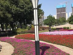 -文华公园(禅城区)