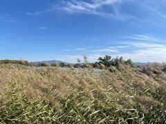 -野鸭湖国家湿地公园