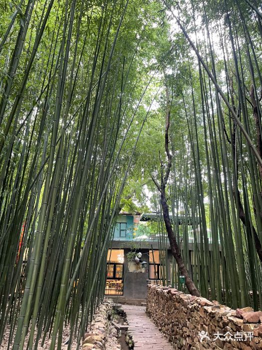 竹泉村旅游度假区图片