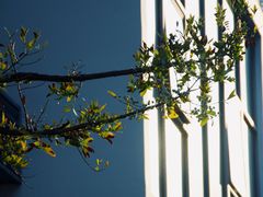 -海峡创意产业园