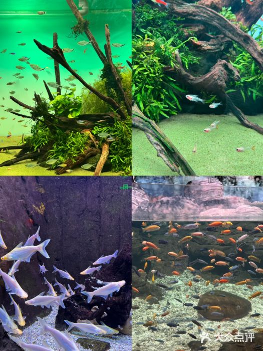 台州海洋世界图片