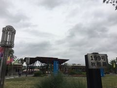 -上海长兴岛郊野公园