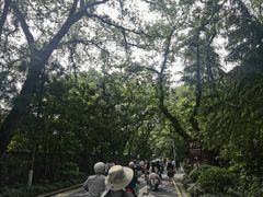 -应天大明王朝·南京菜(中山陵店)