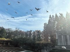 -音乐台