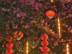 -大佛古寺