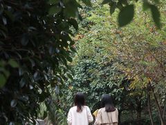 -南京市无想山景区