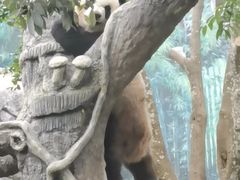 -石排湾郊野公园