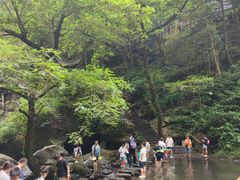 -石台牯牛降景区