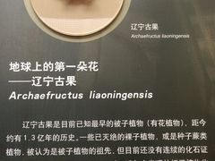 -天津自然博物馆
