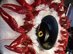 -一棠龙虾(徐家汇城开YOYO店)